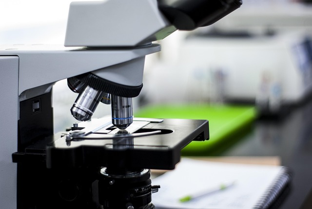 聚氨酯胺類催化劑，確保聚氨酯泡沫具有均勻細密的泡孔和結構穩定性